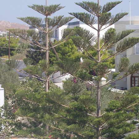 Manos Apartments Mégas Yialós-Nítes Exterior foto